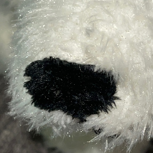 WEBKINZ Ganz POKAR BEAR HM116 Hang & But Tag No Code plush stuffed animal - Picture 6 of 11